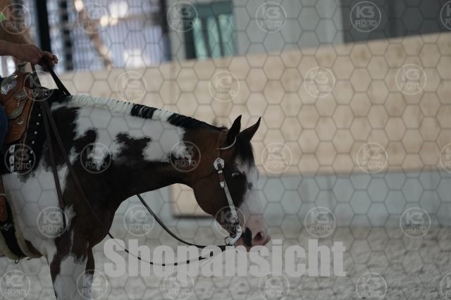 s_A_900261.JPG